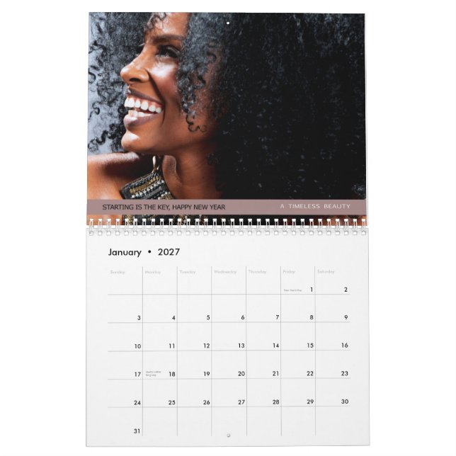 The 2014 Calendar | The Skin Im In (Jan 2027)