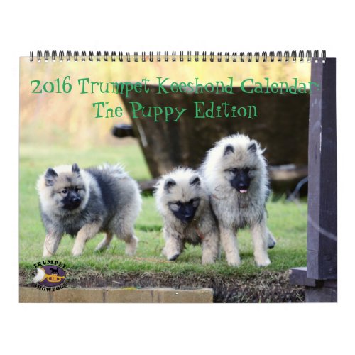 The 2016 Trumpet Keeshond Calendar  Puppy Edition