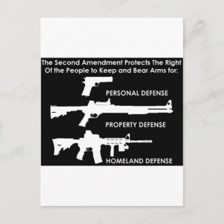 The 2nd Amendment Protects... Postcard