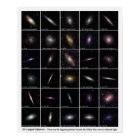 The 30 Largest Galaxies