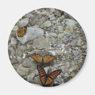 The 3 Butterflies Magnet