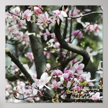 The 4 Seasons- Spring Poster by Dmargie1029 at Zazzle