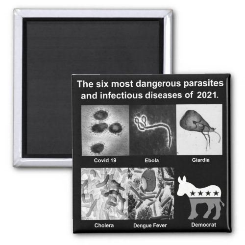 The 6 most dangerous parasites  infectious magnet