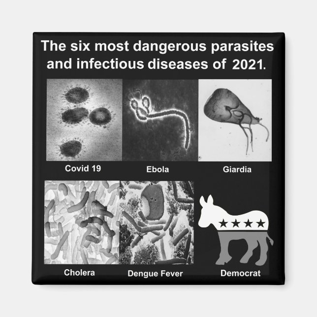 The 6 most dangerous parasites & infectious magnet (Front)
