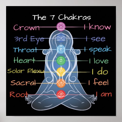 The 7 Chakras  12x12 Poster