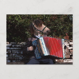 The accordian player postcard