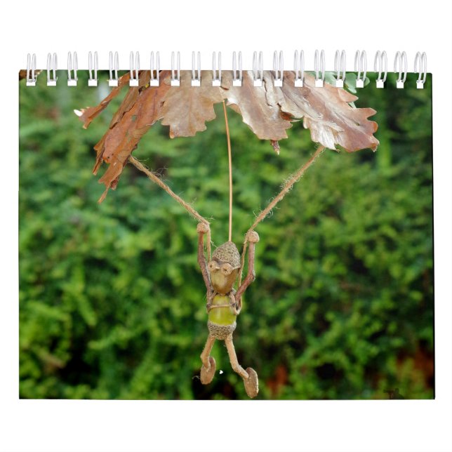 The Acorn People of Shirebrook Valley Calendar (Cover)