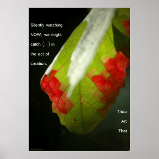 The act of creation poster