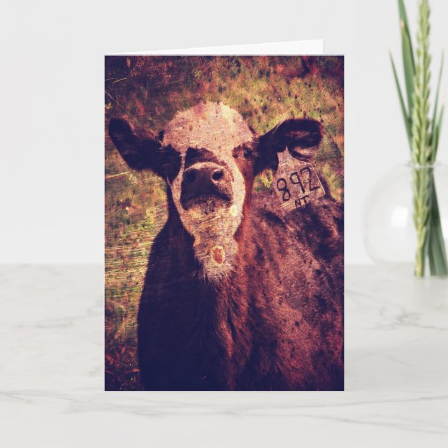 The Adorable Calf, Father's Day Card (Front)