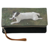 The Adorable, Energetic Jack Russell Clutch
