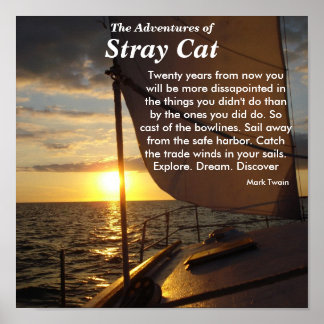 The Adventures of, Stray Cat Poster Explore Dream