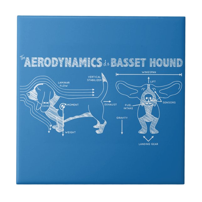 The Aerodynamics of a Basset Hound Ceramic Tile (Front)