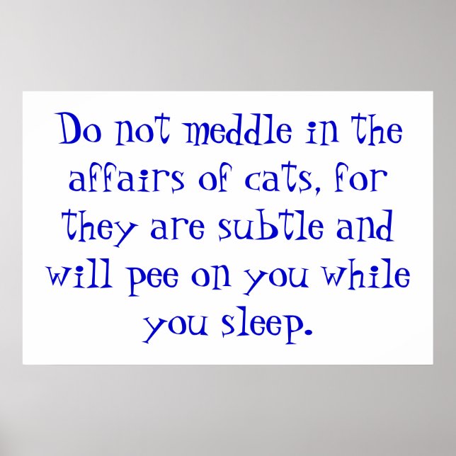 The Affairs of Cats Poster (Front)