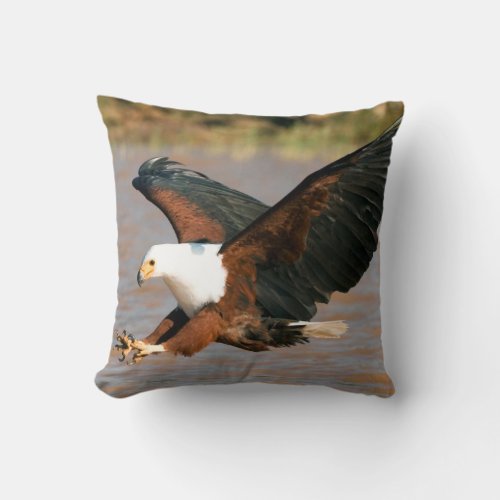 The African Fish Eagle Haliaeetus Vocifer Throw Pillow