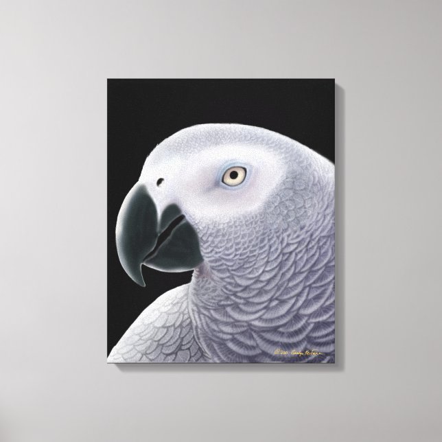 The African Gray Parrot Wrapped Canvas Print (Front)