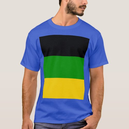 The African National Congress ANC Flag Graphic T_Shirt