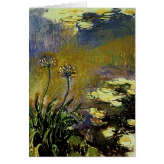 The Agapanthus Cards (Front)