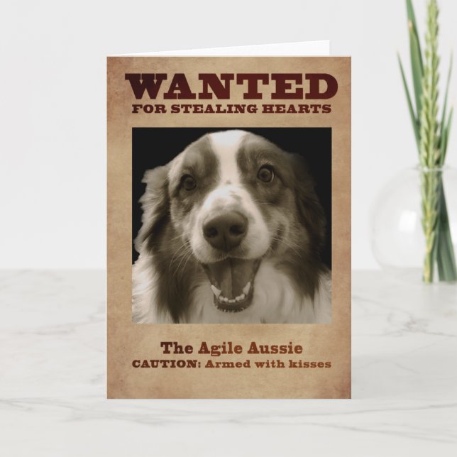 The Agile Aussie Holiday Card (Front)