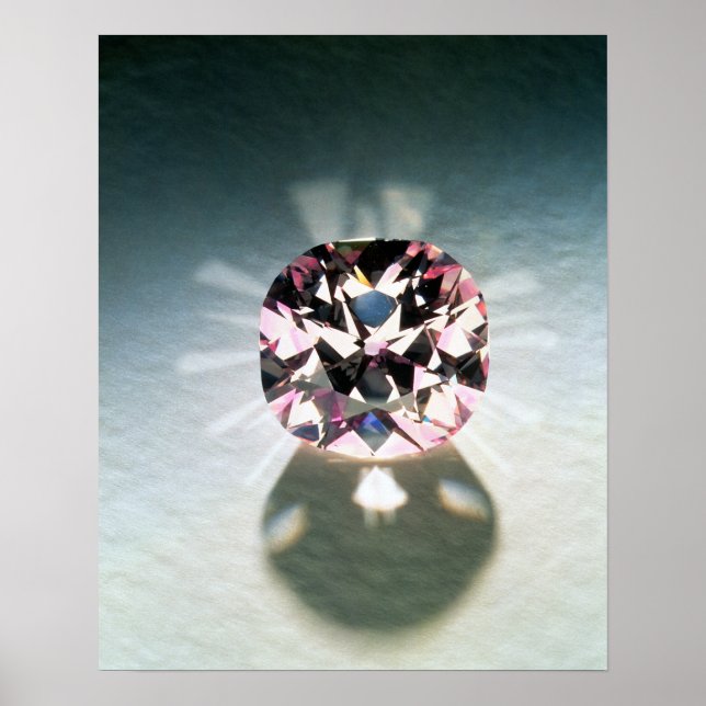 The Agra Diamond Poster (Front)