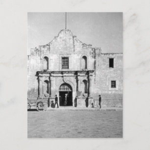 The Alamo in San Antonio, TX 1 Postcard