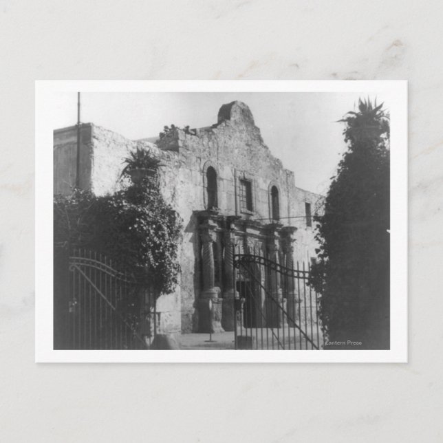 The Alamo in San Antonio, TX  Photograph #2 Postcard (Front)