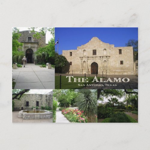 The Alamo San Antonio Texas Postcard