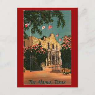 The Alamo Vintage Texas Postcard