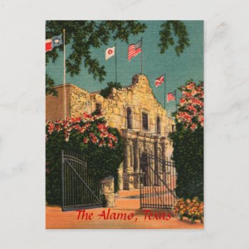 The Alamo Vintage Texas Postcard by vintageamerican at Zazzle