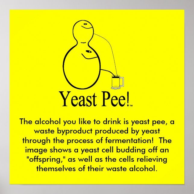 The Alcohol (Beer) You Drink Is Yeast Pee! Poster (Front)