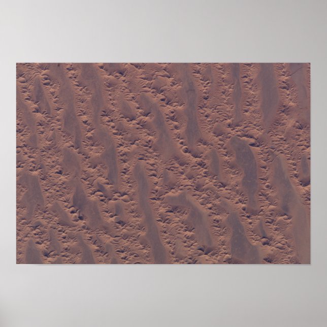 The Algerian desert Poster (Front)