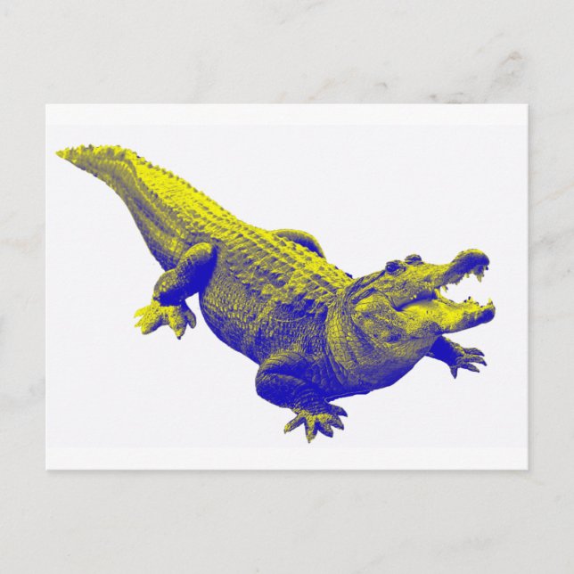 THE ALLIGATOR LIGHT POSTCARD (Front)