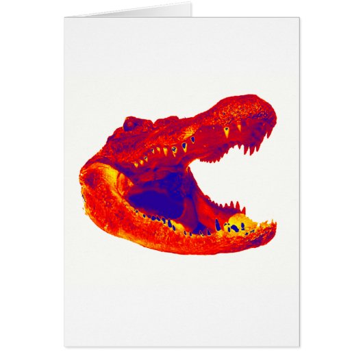 THE ALLIGATOR TERRITORY CARDS (Front)