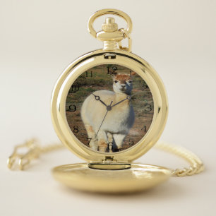 The Alpaca Grin: Woolly Cream Alpaca Grin, Pocket Watch