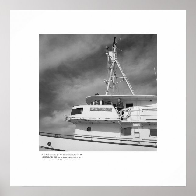 The Alpha Helix, December 1966, by Ansel Adams Poster (Front)