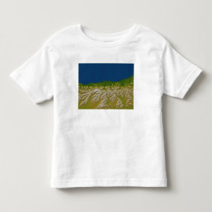 The Alpine fault along the west coast Toddler T-shirt