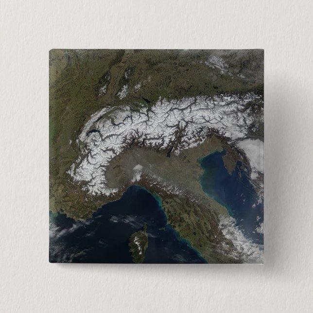 The Alps 3 Button (Front)