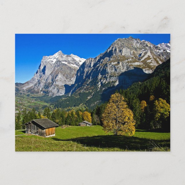 The Alps, Switzerland - Postcard (Front)