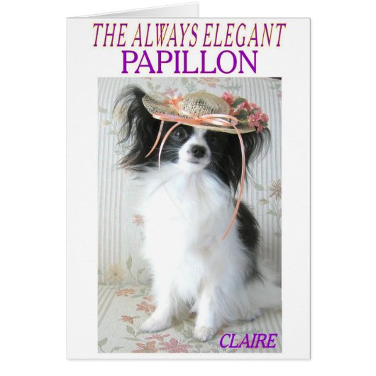 THE ALWAYS ELEGANT PAPILLON CARDS (Front)