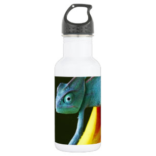 The Amazing Chameleon Water Bottle