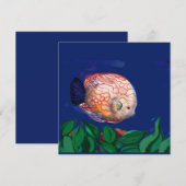 The amazing fish (Front/Back)
