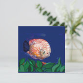 The amazing fish (Standing Front)
