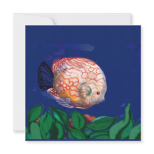 The amazing fish