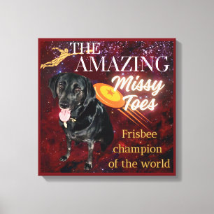 the amazing missy toes canvas print