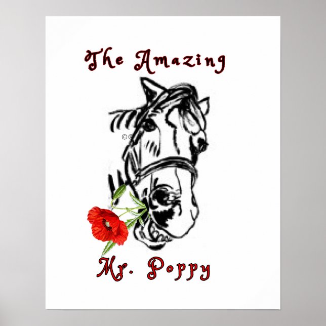 THE AMAZING MR. POPPY   POSTER (Front)