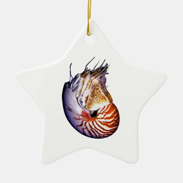 THE AMAZING NAUTILUS CERAMIC ORNAMENT (Front)