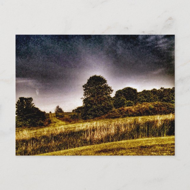 The Amazing Park Postcard (Front)