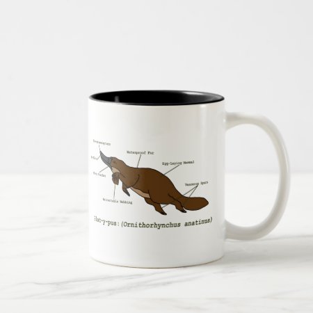 The Amazing Platypus Mug