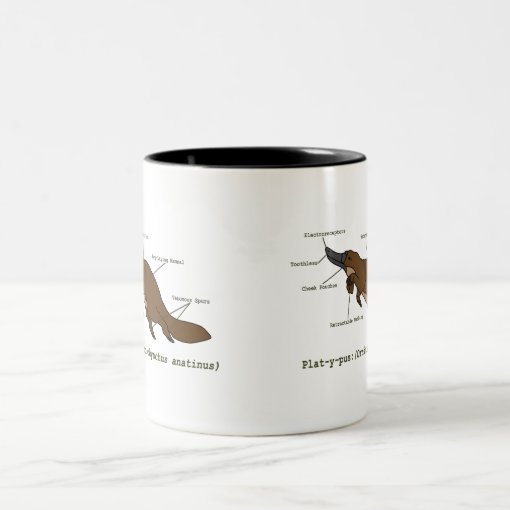 "I Just Freaking Love Platypuses Okay" Novelty Mug - 11oz Ceramic Coffee Mug For Platypus Lovers