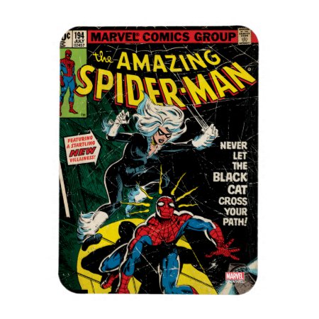 The Amazing Spider-man Comic #194 Magnet