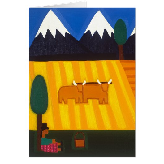 The Amazing View 2006 (Front)